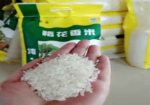 图片,海量精选高清图片库 五常市粒聚水稻种植专业合作社